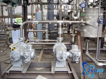 Revamping and upgrading of hydrogenation station for hydrogen production by water electrolysis