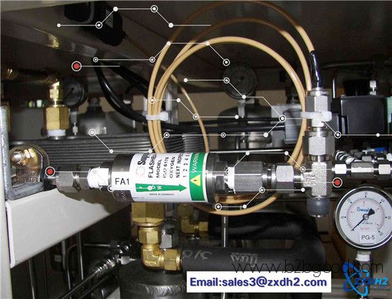 Electroniclyzer/Alkaline Service Service Service