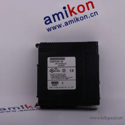 ДС200FGAGAG1A, DS200FGAGAG1AMD