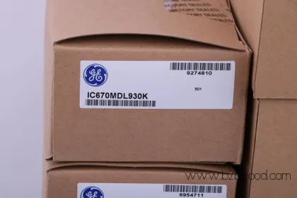 GENERAL ELECTRIC DS200RTBAG2A / DS200RTBAG2A