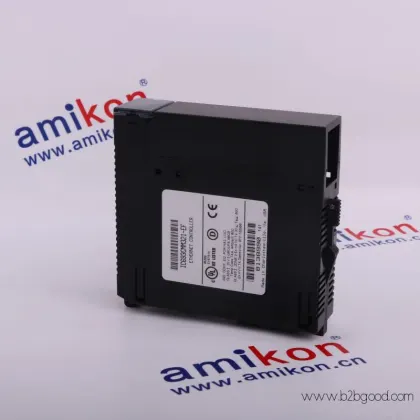 GENERAL ELECTRIC DS200LDCFBG1BNC / DS200LDCFBG1BNC
