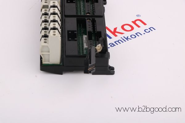 一般电气 DS 200DCFBG1BNC DS 200DCFB1B模块