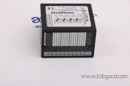 GENERAL ELECTRIC DS200SHVMG1A / DS200SHVMG1A