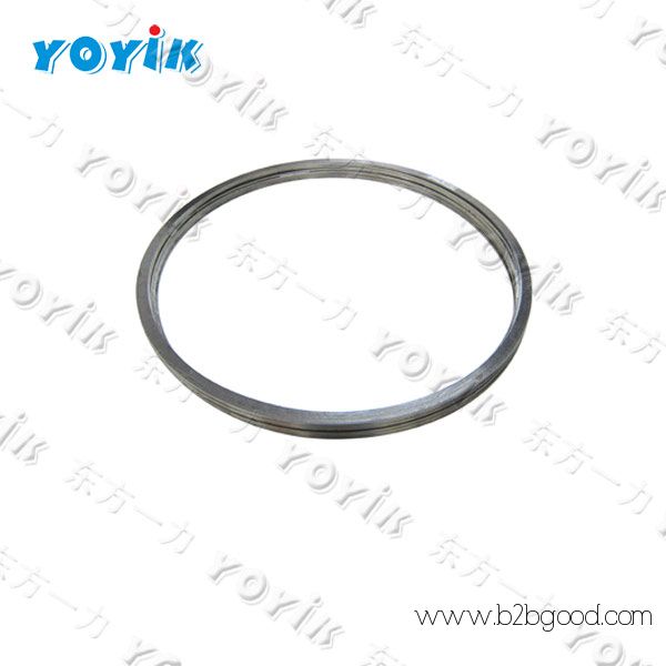 YOYIK supplies O-RING GS020600V