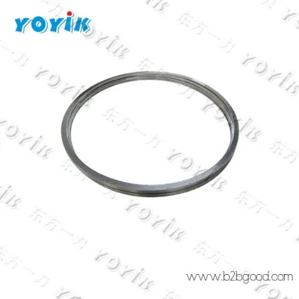YOYIK supplies O-RING GS020600V