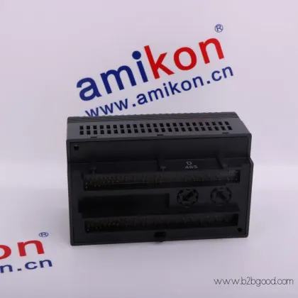 GE IC695ACC302