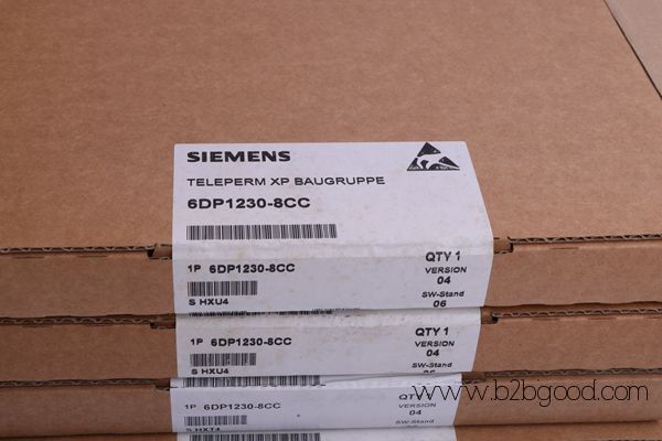 6DS1412-8DD