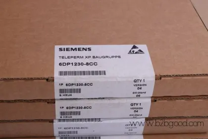SIEMENS 6DD1606-0AD1