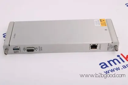 Бентли Невада 330106-05-30-10-02-05