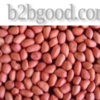 Groundnut
