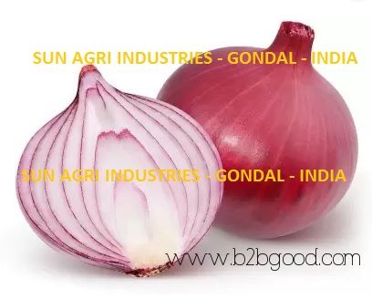 Onion