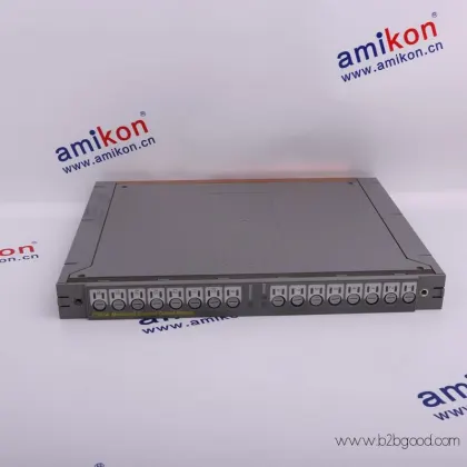 ICS TRIPLEX T8191