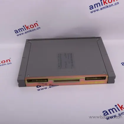 ICS TRIPLEX T81B