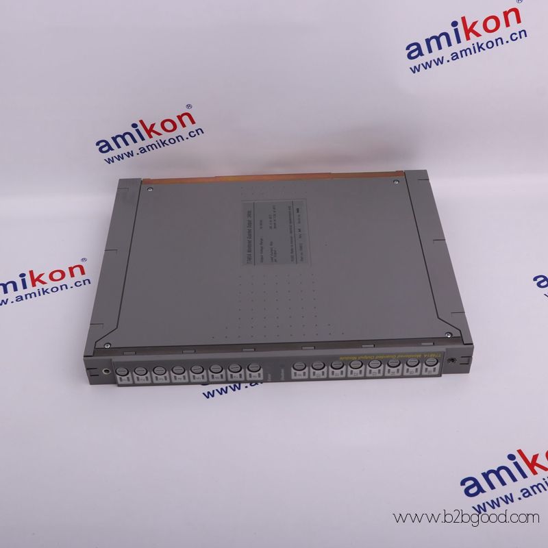 ICS TRIPLEX T8191
