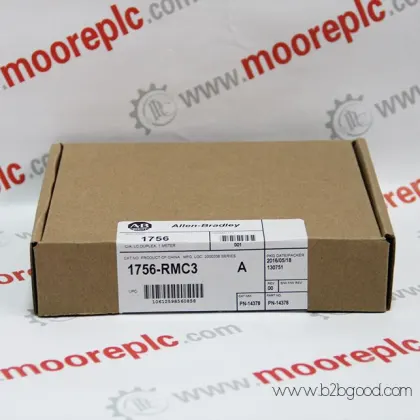 Bentley Nevada 1060M1081 - 01 новый