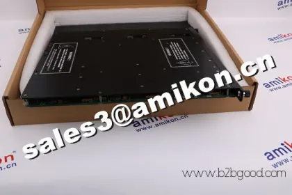 Triconex 4351B