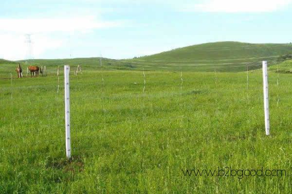 SQUARE KNOTS FIELD FENCES