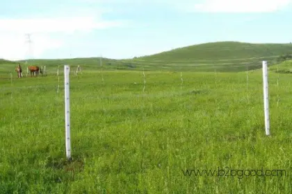 SQUARE KNOTS FIELD FENCES