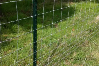 CATTLE FENCE