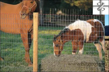 HORSE FENCE