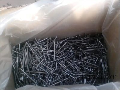 Steel Common Wire Nails