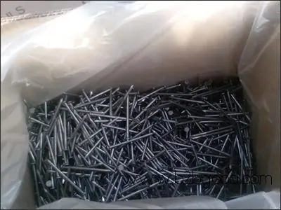 Steel Common Wire Nails