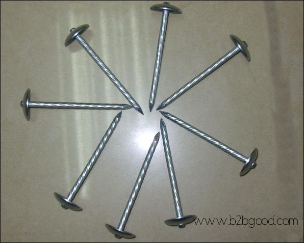 Roofing Nails