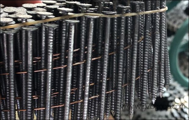 Wire Collated Coil Nail