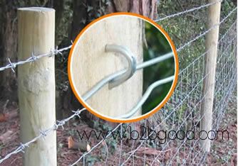 Galvanized Concrete Nails