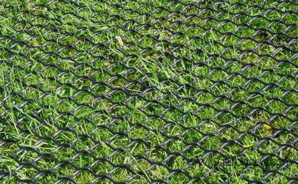 Plastic Mesh for Soil Stabilization