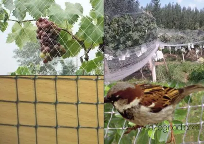 PVC Mesh