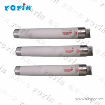 China factory Fuse 6.6kV XRNM1-7.2/80 for power station