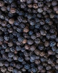 Pepper