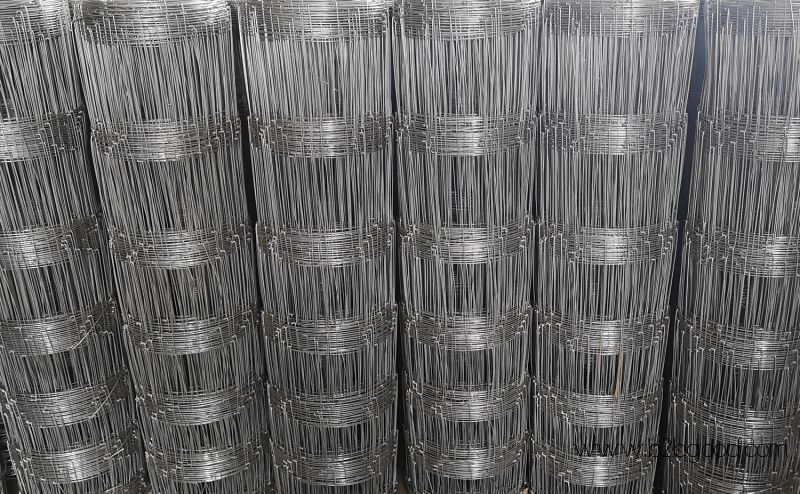 Welded Wire Mesh Fencing System