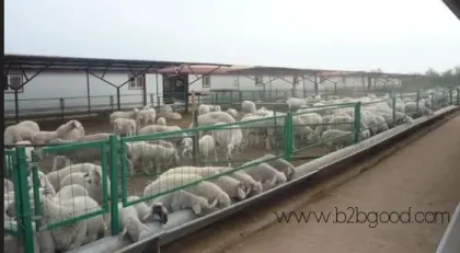 Field Fence Used to Contain Livestock