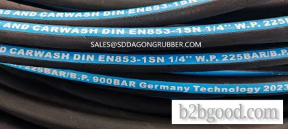 High-pressure hoses (RH)