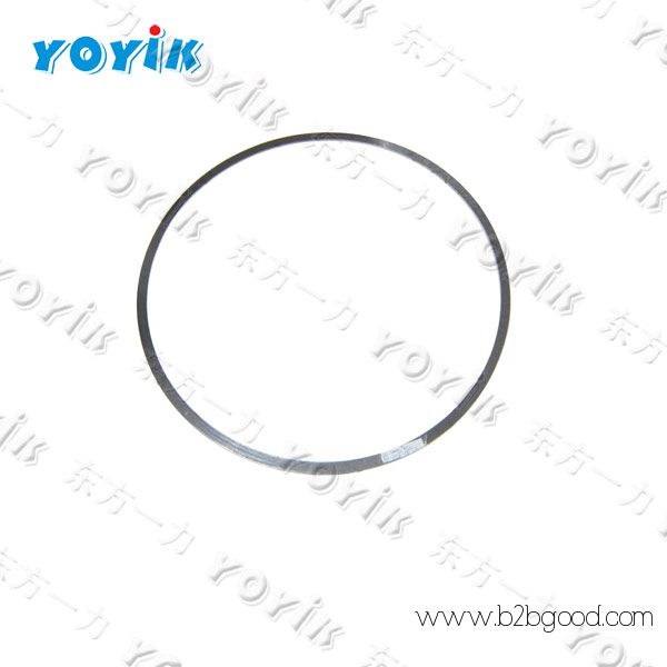 China Supplier Water blocking ring ALD320-20X2 for steam turbine
