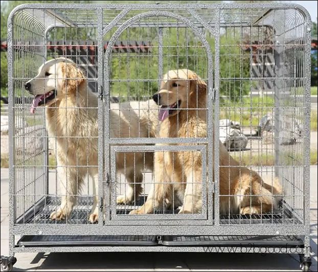 Portable Dog Enclosures