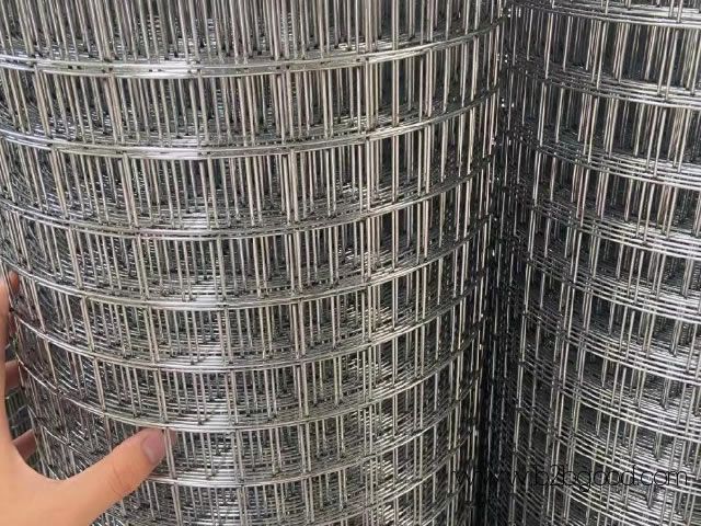 Electro Galvanized Welded Wire Mesh