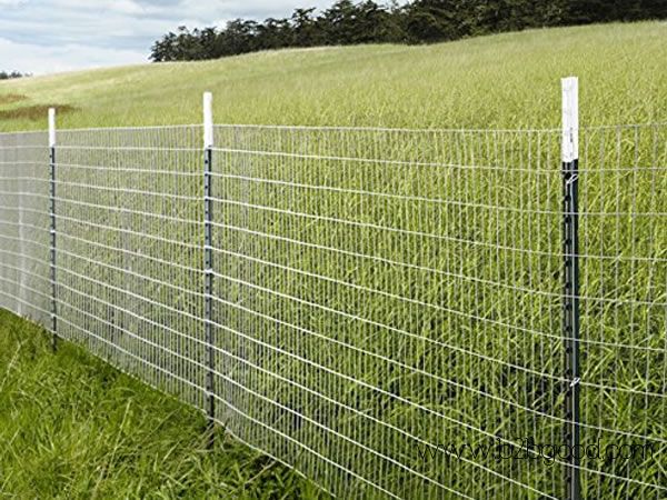 Electro Galvanized Welded Wire Mesh