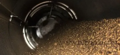 Biomass Fuel