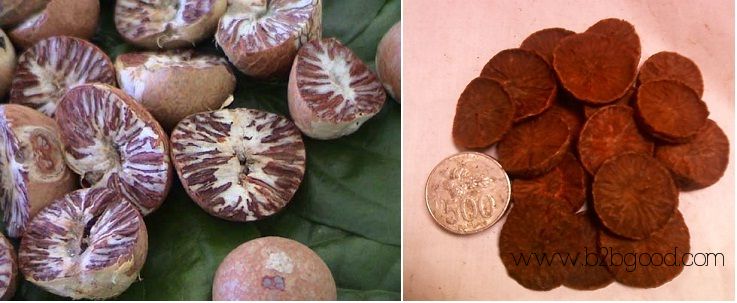 Areca Nut