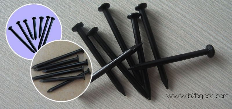 Common Steel Construction Nails