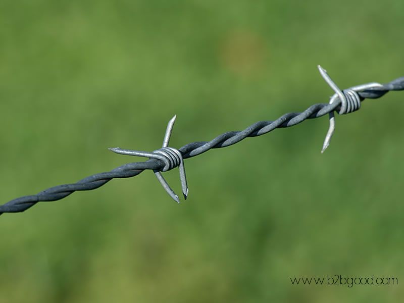 Perimeter Security Barbed Wire