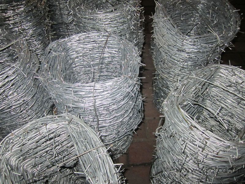 Perimeter Security Barbed Wire