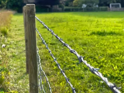 Perimeter Security Barbed Wire