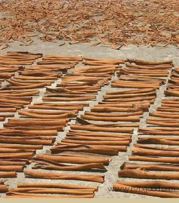 Cinnamon (cassia)
