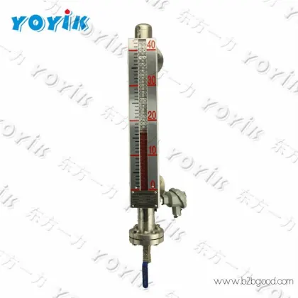 Made in China Electronic Remote Level Gauge UDZ-191A for thermal power plant