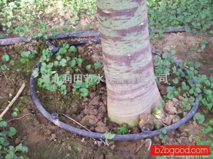 хэнань качества малых трубки из потока трубы из потока цены, фотографии