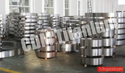 CDM-титановый кольцо, диск, литая деталь